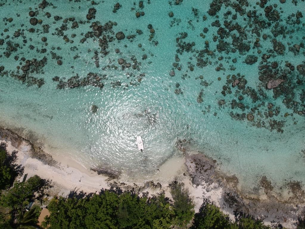 Photos de Dream Island à Moorea - photo 7